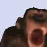 monke