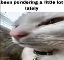 1720346613280508