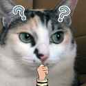 1445531441931