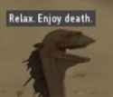 1734314158888234