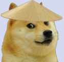 dogeshi
