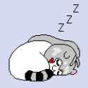 zzz