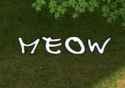 Screenshot_6