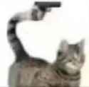 GkpwqtXWkAE1_Or