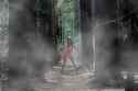 Slenderbella