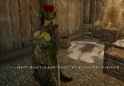 enb2025_6_26_20_54_08