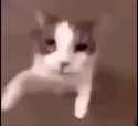 1736973373999205
