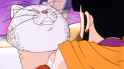 die, homosexual cat
