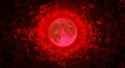 [sound=https%3A%2F%2Ffiles.catbox.moe%2Fm8a7rr.wav]