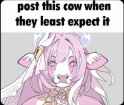 FB_IMG_1739164014352