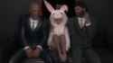rabbit2
