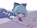 cirno_drop_food_plate