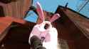 bunny