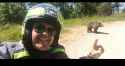 man takes selfie with bear that mauled him