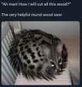 konyasu saw