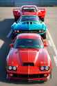 2004119233_muscle car_0