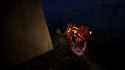 Stalker2-Win64-Shipping 2025-07-06 06-28-06