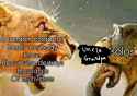 102507060049
