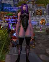 PVMP