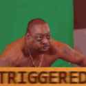 triggered-memes-2536968025