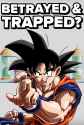 BETRAYED and TRAPPED