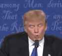 trump wrong
