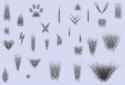 1746489951663533