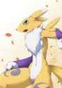 1625190318.yuuyatails_renamon