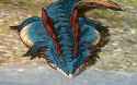 Lagiacrus Sunbathing