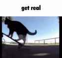 37688d41532a8cc5b7040faea0e27cc6f