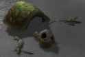 the absolute state of turtlewow