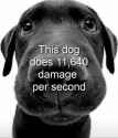 arbites-dog
