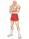 sagat-champ