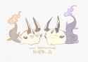 draco fat tails