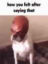 how you felt after saying that