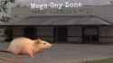 VDU1lXupyV8-KVOkXRxrbfDHmLCVEUdhnaivaavhrUY
