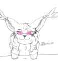 1542320888.marcushunter_gato17