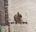 llimit