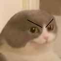1723137892927188