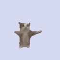 jumping-gatito