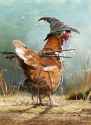 chicken wizard