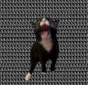 GugeppuWsAAqBWL