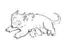 executor puppies