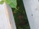 IMG_20250705_175215727
