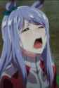 mfw no kitasan black