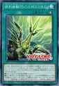 2270_20250701045804_img_1_1eH4v8YqIBc60K4UftgYPvtm8u8At5N34OBY6AjWyzgVJCUDzU8e2XX1drByMnMY