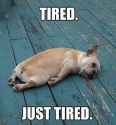 tired-just-tired