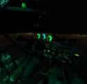 Acid_Rave