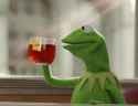 kermit-the-frog-sip