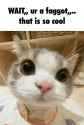 GgKWwqPXsAAQboU
